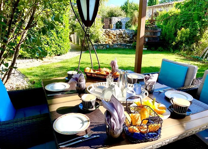 乐雅丁奥苏赛酒店 4* Brissac