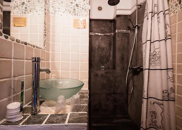 乐雅丁奥苏赛酒店 Brissac