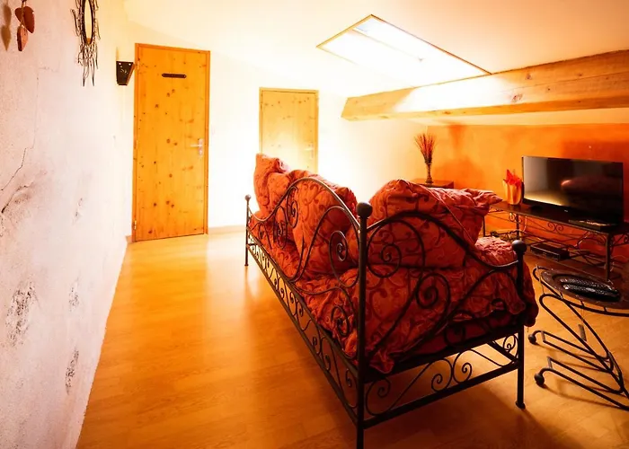 乐雅丁奥苏赛酒店 Brissac