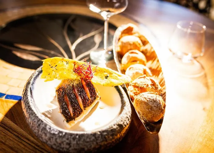 乐雅丁奥苏赛酒店 Brissac